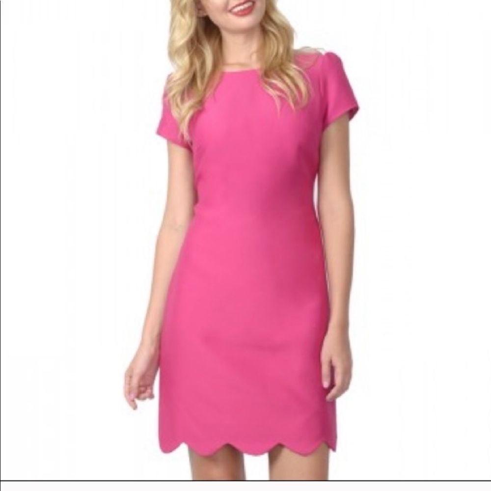 Camilyn beth dress